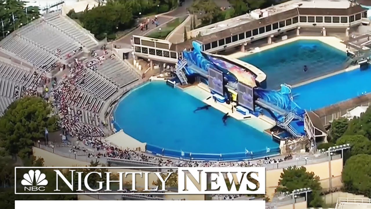 Easter wreaks havoc with SeaWorld attendance