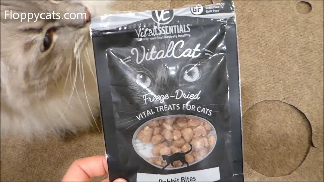 Vital Essentials Rabbit Bites and Minnows Freeze-Dried Cat Treats Product  Review Video Floppycats 