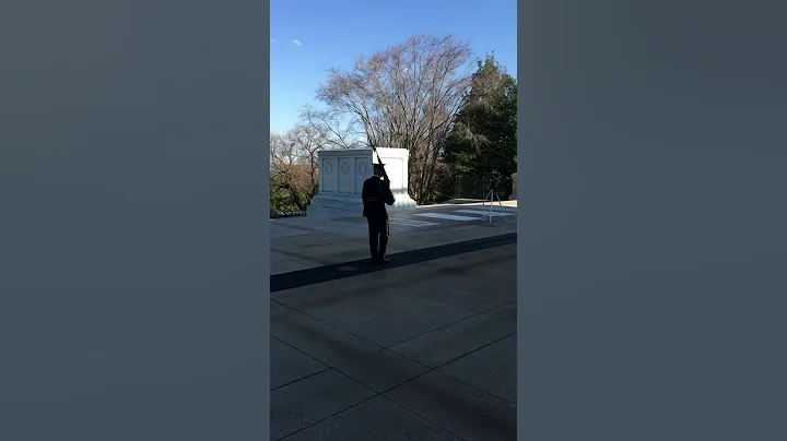 Guard at Tomb of the Unknown Soldier Corrects Disr...