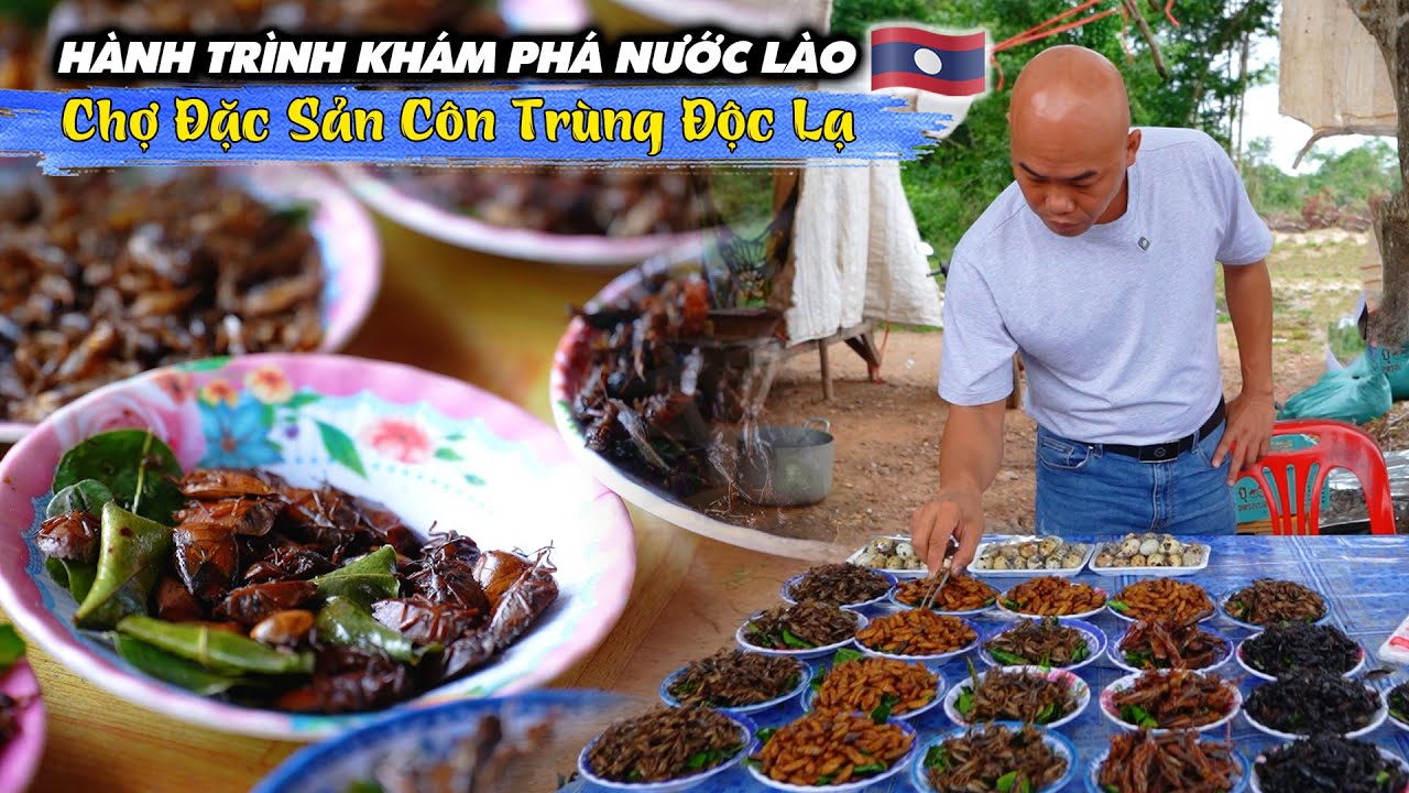 TRÃI NGHIỆM ĐẶC SẢN CÔN TRÙNG ĐỘC LẠ - KHÁM PHÁ ĐẤT NƯỚC LÀO TẬP 5