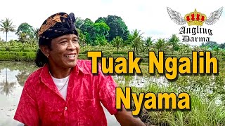 Tuak Ngalih Nyama Official Video Ciptvoc Angling Darma