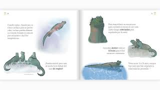 La Iguana De Galápagos