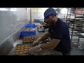 Qoot Cookies Production | Qoot Masti