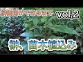 榊の苗木植込み開始【榊圃場が出来るまで】