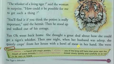 class5th chapter3rd(The tiger