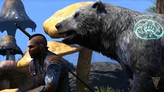 The Elder Scrolls Online: Morrowind – игра за Warden The Elder Scrolls Online: Morrowind – игра за Warden