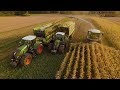 Mais 2019 : LU Jumpers / Claas Jaguar 990 & 980 / Fendt 936 / USA / Bergmann