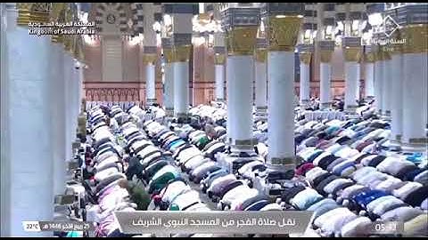 صلاة الفجر للشيخ محمد برهجي من المسجد النبوي 25 ربيع اخر 1446 من سورة آل عمران من الأية 18 الى 32