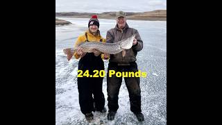 Darkhouse Pike Spearing----2 Days----5 Pike--Shaky Shaft Addicts ---Biggest Pike of the year.