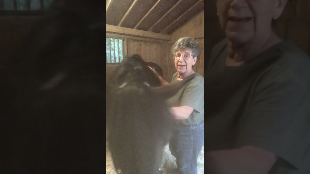 Learn how to asssess lymphatic congestions in under 2 minutes on your horse!