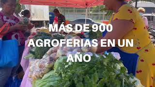 LAS AGROFERIAS, EL DÍA A DÍA DEL IMA