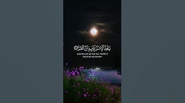 ياسر الدوسري سورة القيامة  فإذا برق البصر وخسف القمر #القرآن_الكريم #المصحف #راحة_نفسية