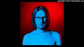 Steven Wilson - Refuge (Demo)