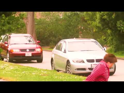 angry-birds-attacking-people---why-birds-are-evil
