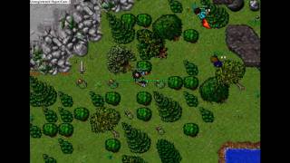 Tibia Askara - PK lll