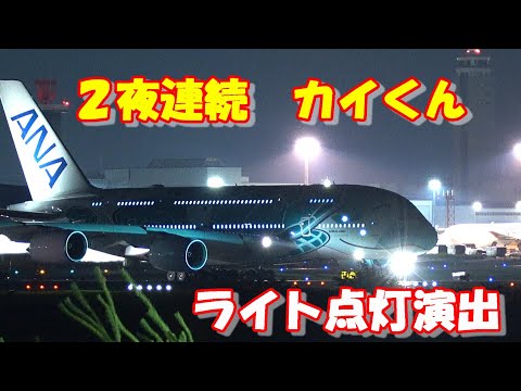初2夜連続カイくんライト点灯演出ハワイへ】2025.06.22,23 4K撮影
