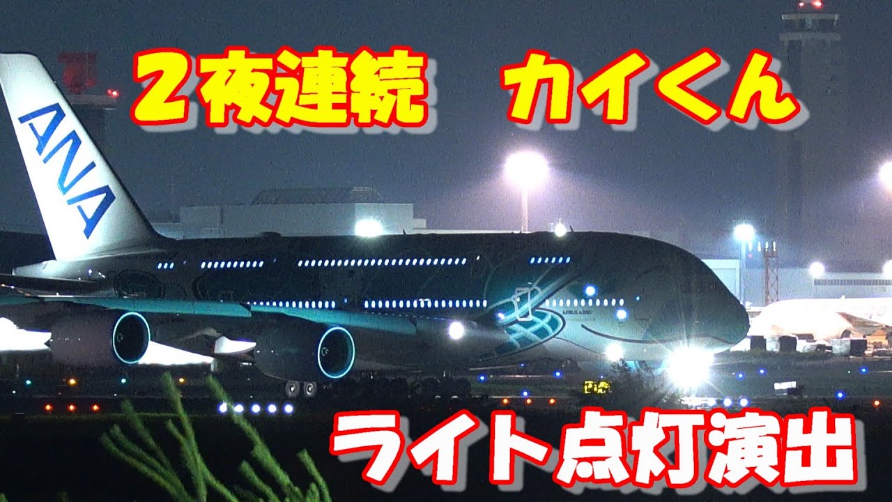 初2夜連続カイくんライト点灯演出ハワイへ】2025.06.22,23 4K撮影