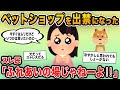 【報告者キチ】ペットショップを出禁になった！買うつもりがないのに毎日抱っこに来ないでって…→ドックカフェのように通うキチ登場！
