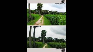 Honor 400 lite vs Realme 7 Pro camera comparison #newphone #oldphone #vs