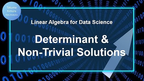 8-4. Determinant and Non Trivial Solutions (Linear Algebra for Data Science)