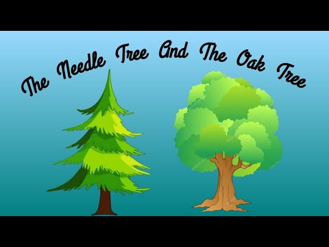 The Oak tree