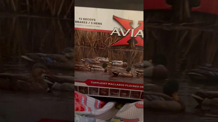 Avian X Topflight mallard flocked head outfitter pack