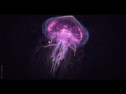 Creatures of Light Underwater - Best Documentary 2018  [1080p] NEW