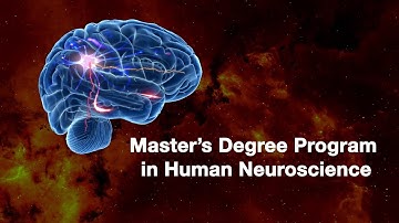 Master’s Degree Programme in Human Neuroscience