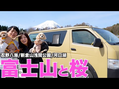 【超弾丸】富士山と桜を見に急遽山梨県へ！前乗り車中泊がやっぱり楽すぎる。