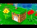 I Built the World's SMALLEST Minecraft House! *tiny*