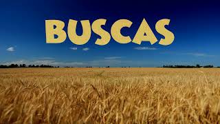 Buscas Pista Praise Team Maranatha