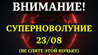 Download Lagu YOU MUST KNOW THIS BEFORE TOMORROW! Why This August 23rd New Moon Is Unique And How It Will Chang... MP3 Download Lagu YOU MUST KNOW THIS BEFORE TOMORROW! Why This August 23rd New Moon Is Unique And How It Will Chang... MP3