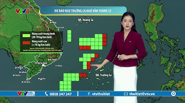 Dự báo thời tiết biển ngày 03/12/2024 | Ngư trường cá ngừ vằn tháng 12 | VTVWDB