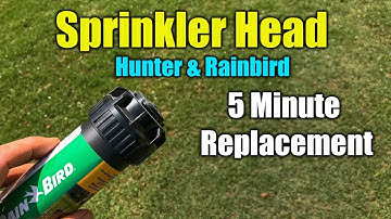 Replace Sprinkler Head - RainBird and Hunter