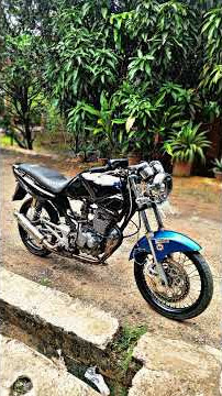 story tiger2000#beranda #masukberanda #storywa #herex