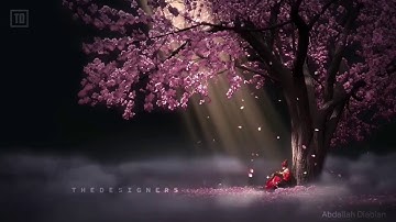 بعض آيات القران الكريم تريح القلب