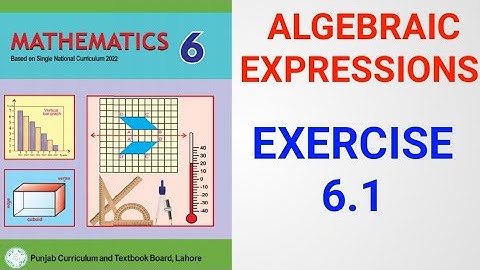 Class 6 Math Exercise 6.1