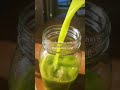 Green juice #recipe #juice #wellness #selflove #selfcare #organic #garden #nature #birdwatching