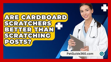 Are Cardboard Scratchers Better Than Scratching Posts? - PetGuide360.com
