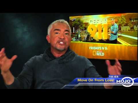Cesar Millan Explains