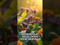 Ulat yang Tak Sabar Jadi Kupu-Kupu 🦋 | Cerita Inspiratif Tentang Kesabaran & Perubahan
