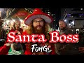 Santa Boss - Fungi Flows #SantaBoss