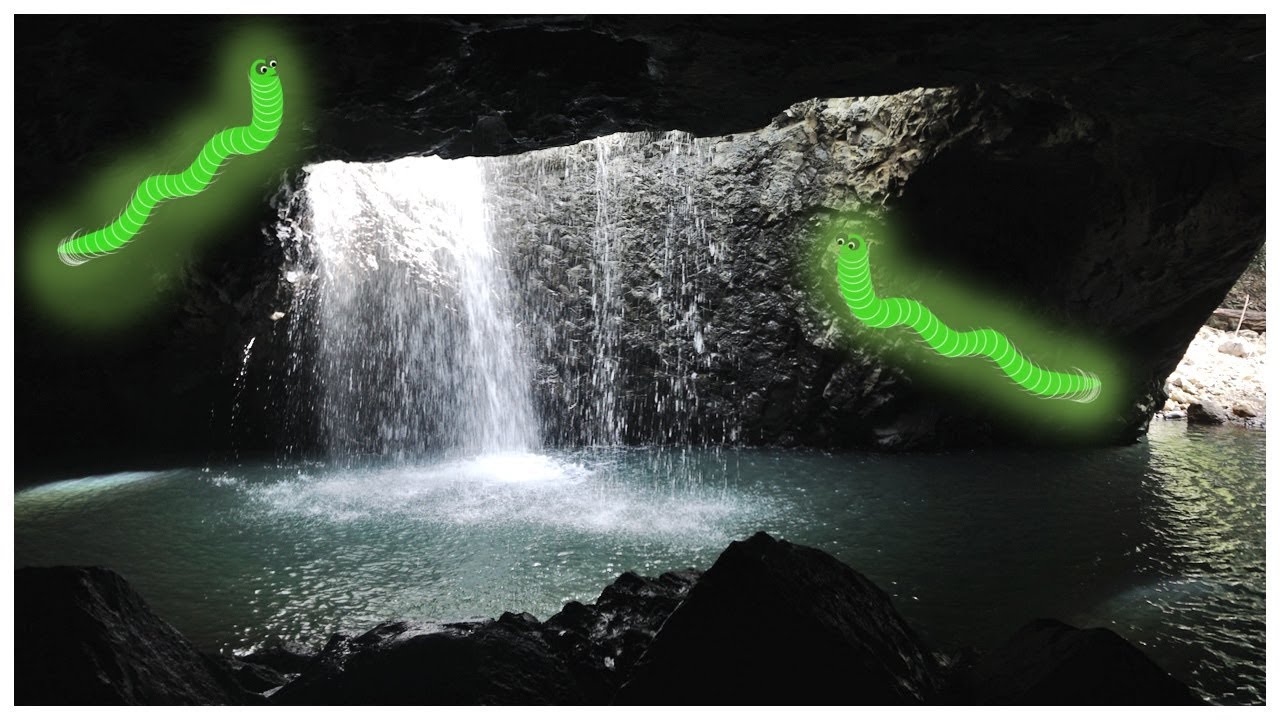 Glow Worms in Australian Caves YouTube