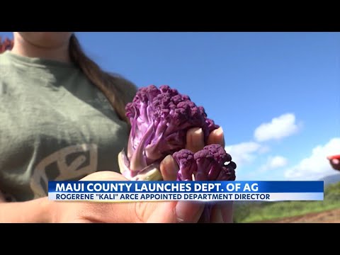 Maui County the testing ground for Hawaii's first-ever county-specific Department of Agriculture