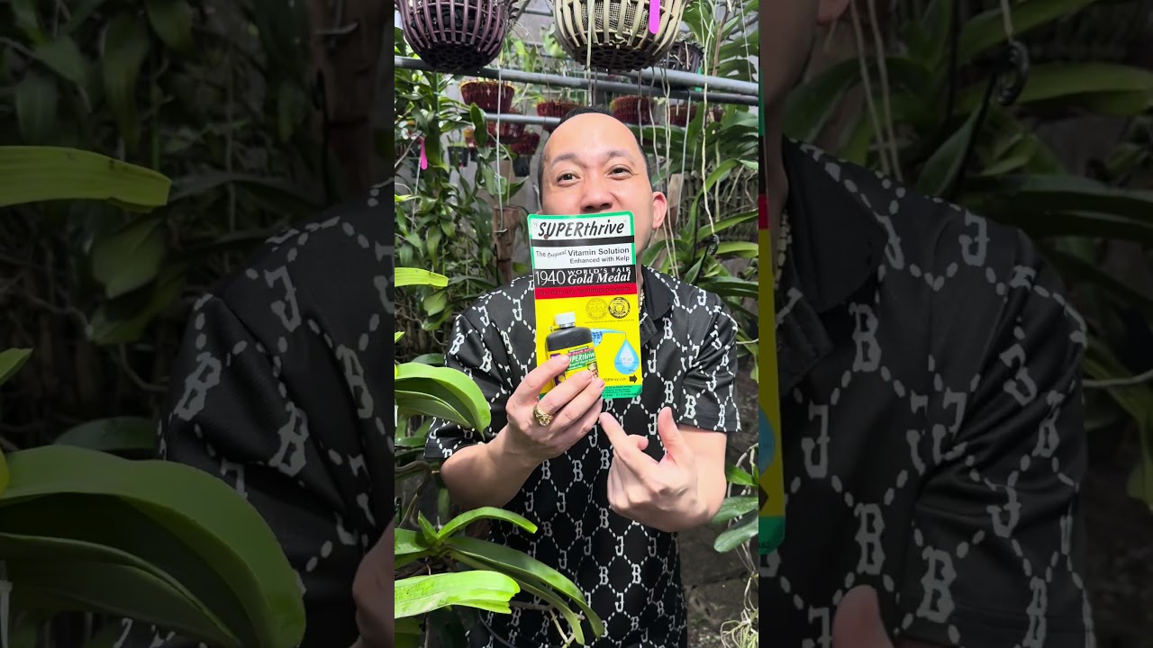 THẦN DƯỢC CHO HOA LAN TO, MẬP, KHOẺ CHÍNH LÀ SUPER THRIVE