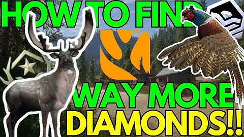 Get WAY MORE DIAMONDS in theHunter: Call of the Wild - "Top Secret Tips"