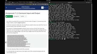 Famous CS140 here document technique Net Worth