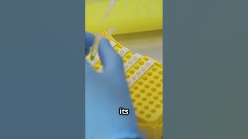 DNA Data Storage The Epigenetic Revolution 2024