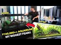 I Built My FIRST AQUARIUM at HOME!!🏡 DIY Aquascaping?! + PRICES 🐠