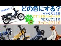 新色登場【２０２４年モデル】スーパーカブ１１０やＣＴ１２５ハンターカブにNEWカラー！廃盤カラーもあるので忘れずにチェック！